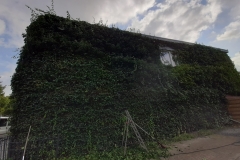 20200912_105630_resized