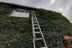 20200912_124314_resized