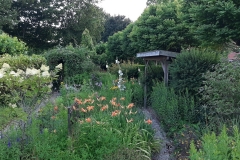 IMG-20200710-WA0019_resized