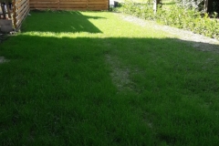IMG-20200720-WA0003
